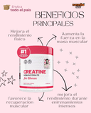 La Creatina Monohidratada – Old School